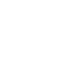 PDL logo white